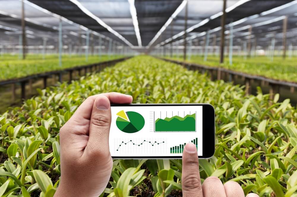 AI Agriculture