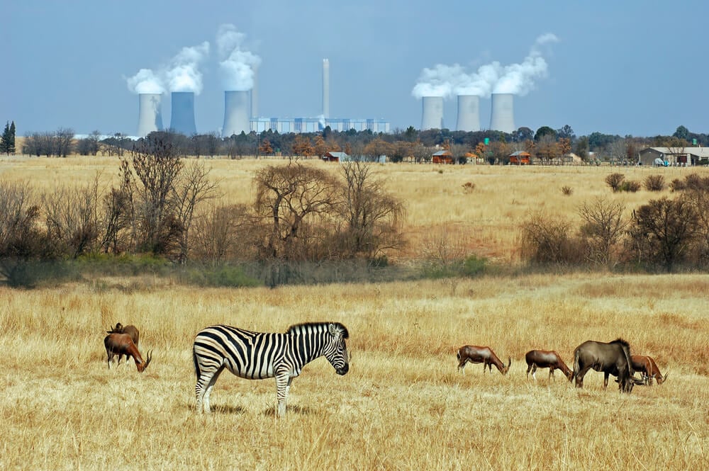 Africa Coal Power Station