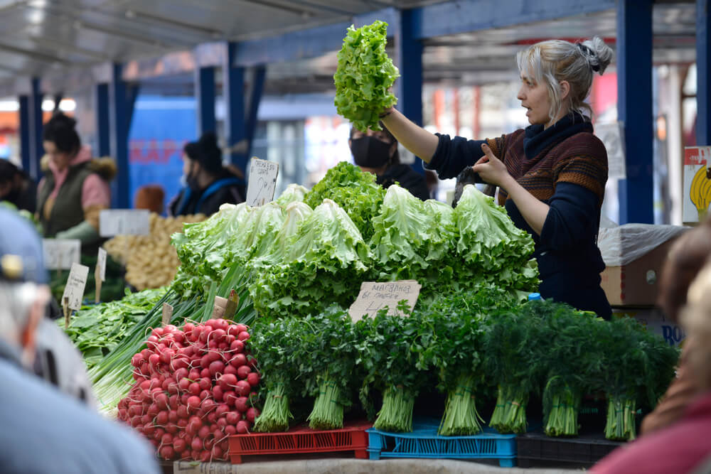 Bulgaria Market