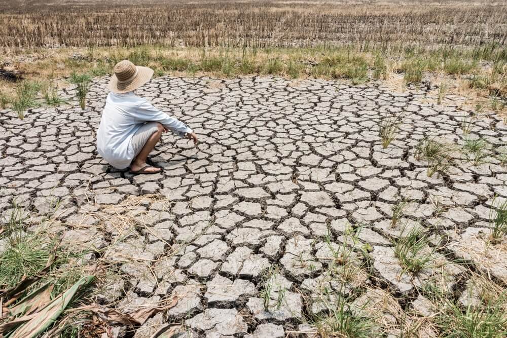 Drought Farmer