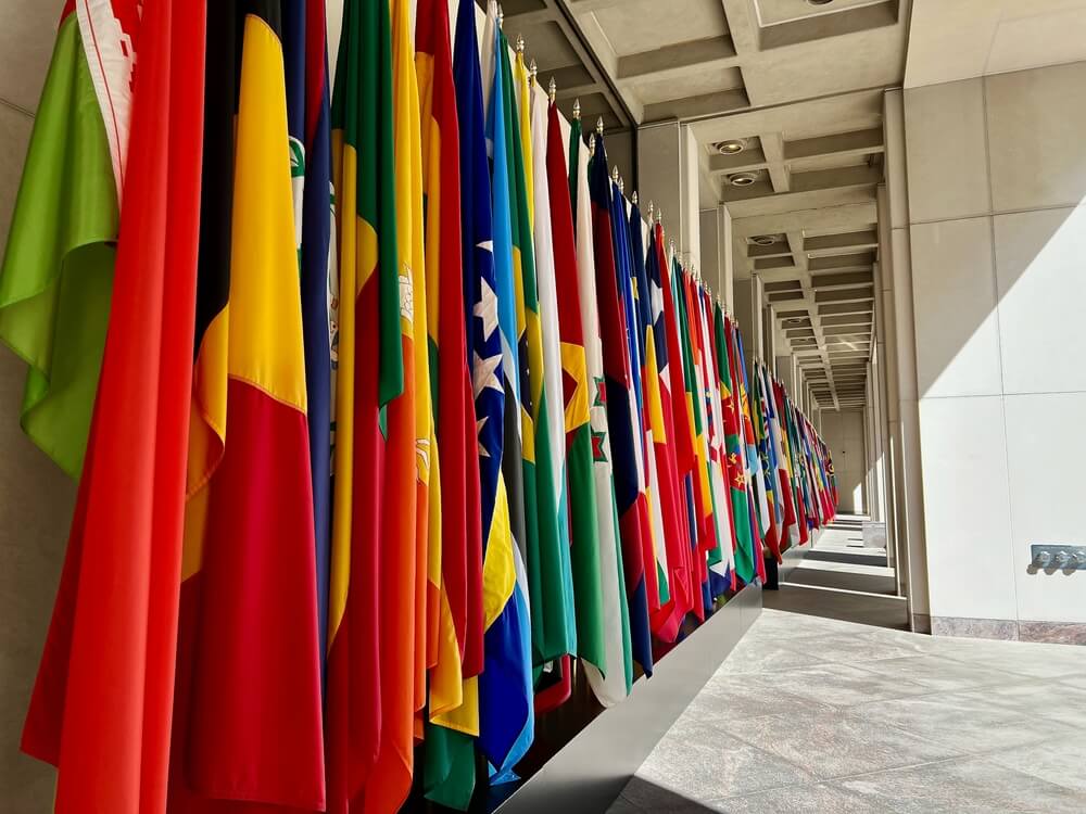 IMF Flags