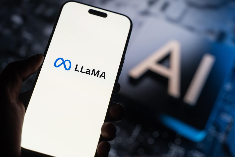 Meta LLaMa