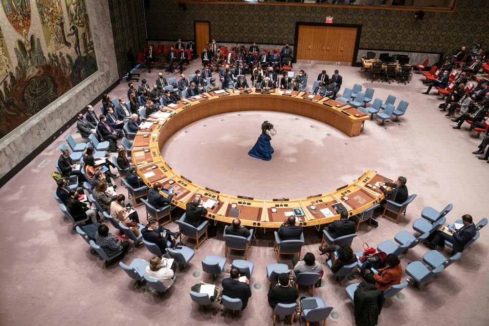 UN Security Council