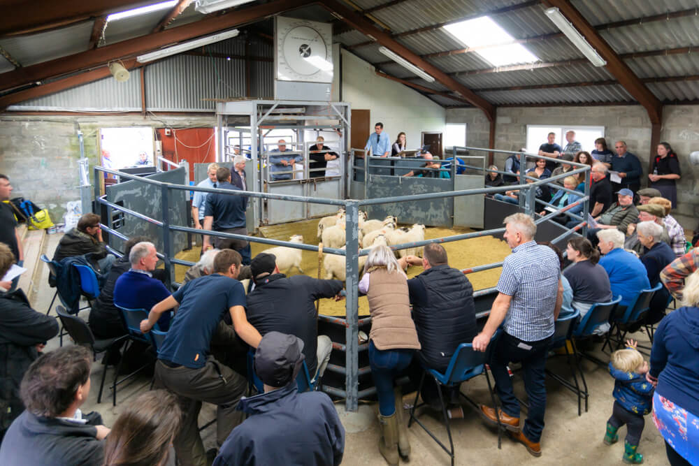 UK Farmers