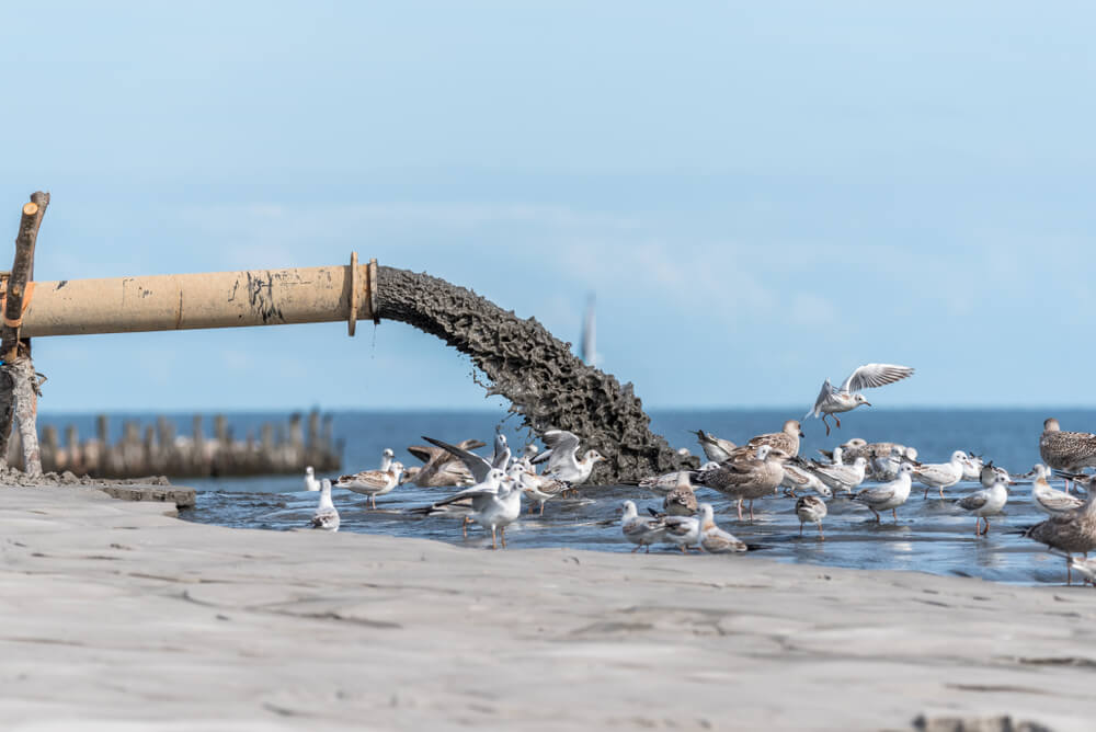 Sea Pollution