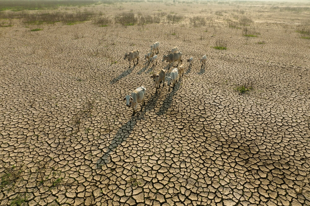 Climate Change