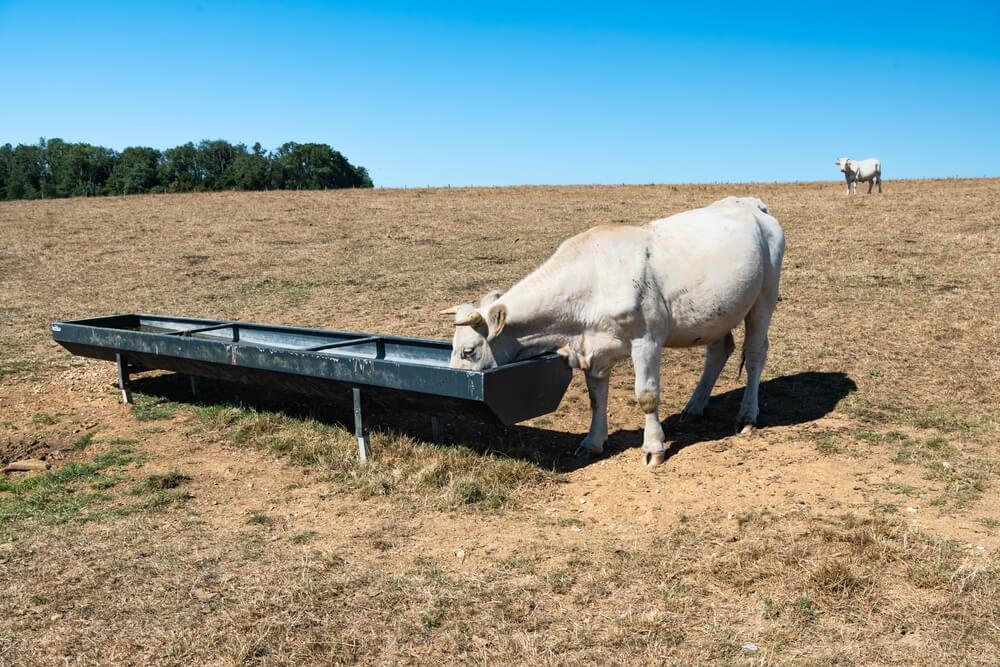France Drought