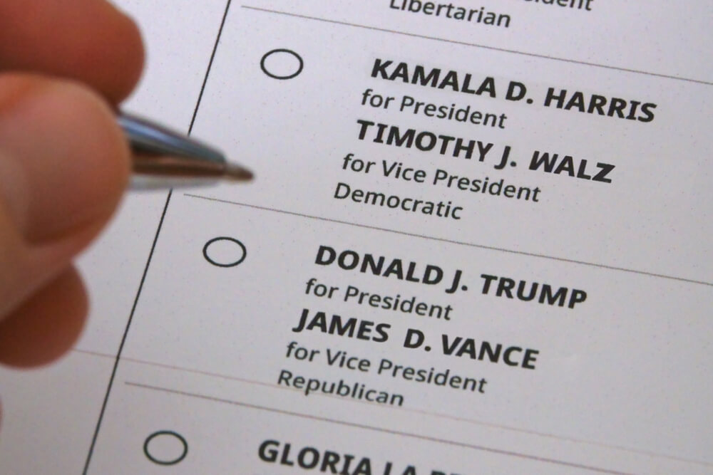 US Election Survey