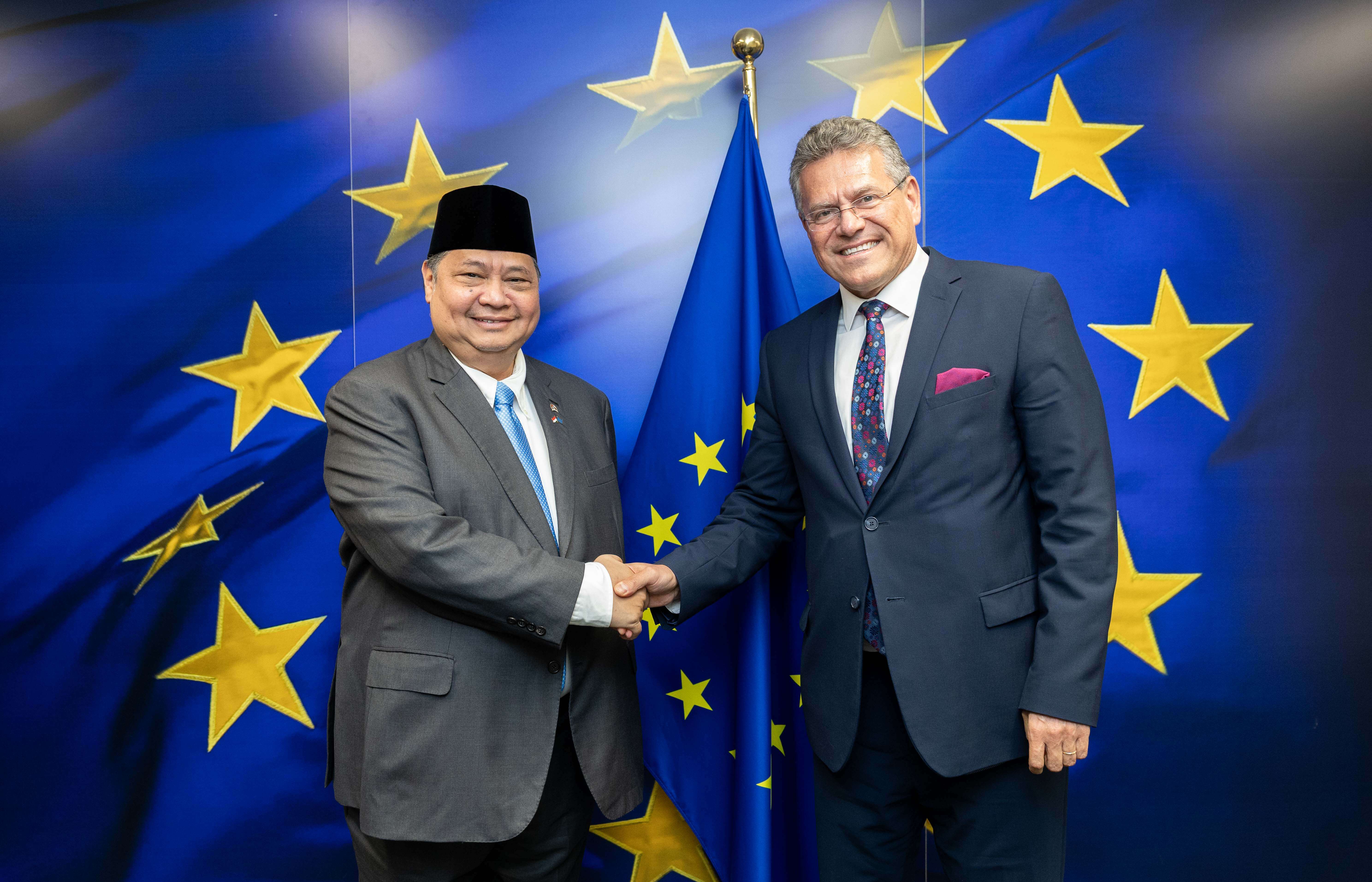 Airlangga Hartarto, Maroš Šefčovič