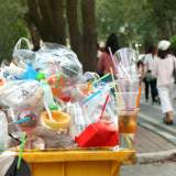 plastic pollution?