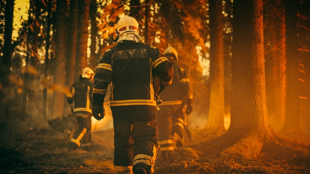 Firefighters, Wildfire