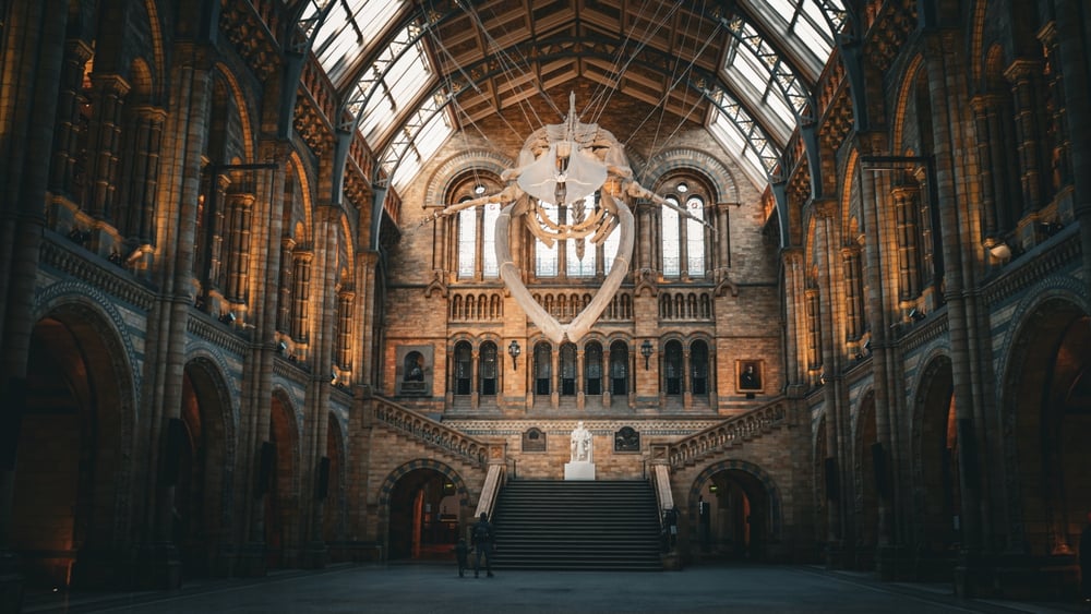 Natural History Museum
