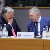 the limits of European unity
