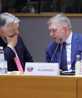 the limits of European unity