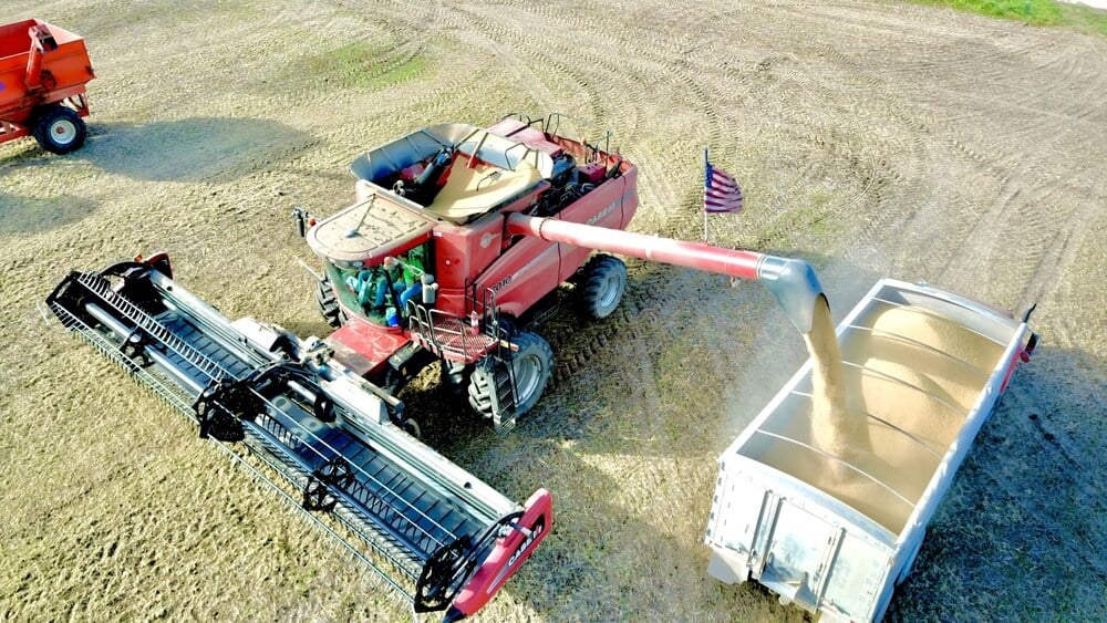 Soybean Harvest