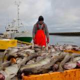 protect marine life?