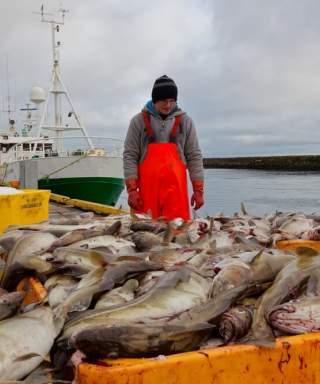 protect marine life?