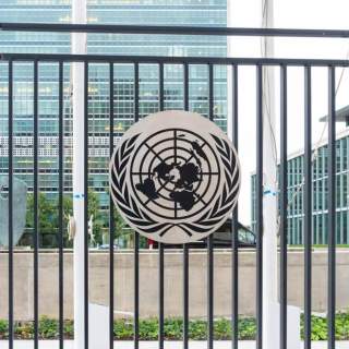 debts of developing countries?