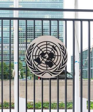 debts of developing countries?