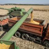 bears down on food security