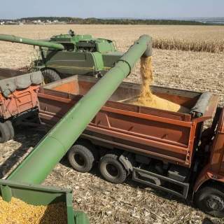 bears down on food security