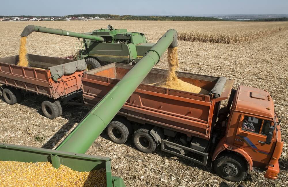 Harvest