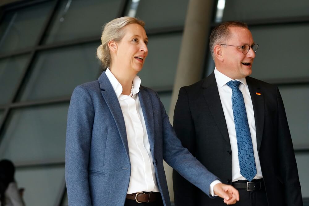 Alice Weidel, Tino Chrupalla
