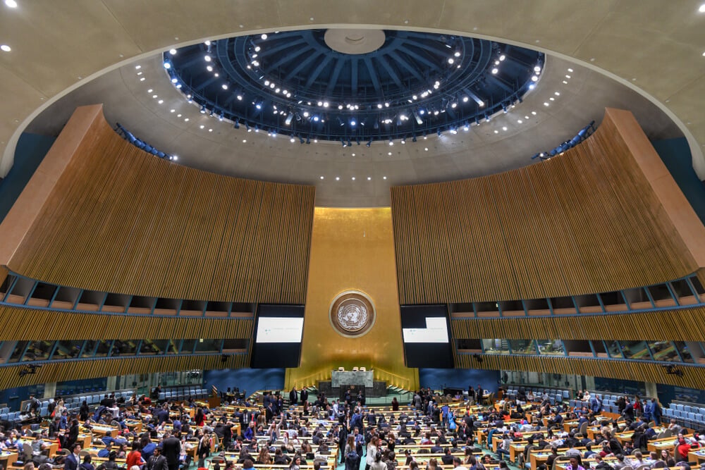 UN General Assembly